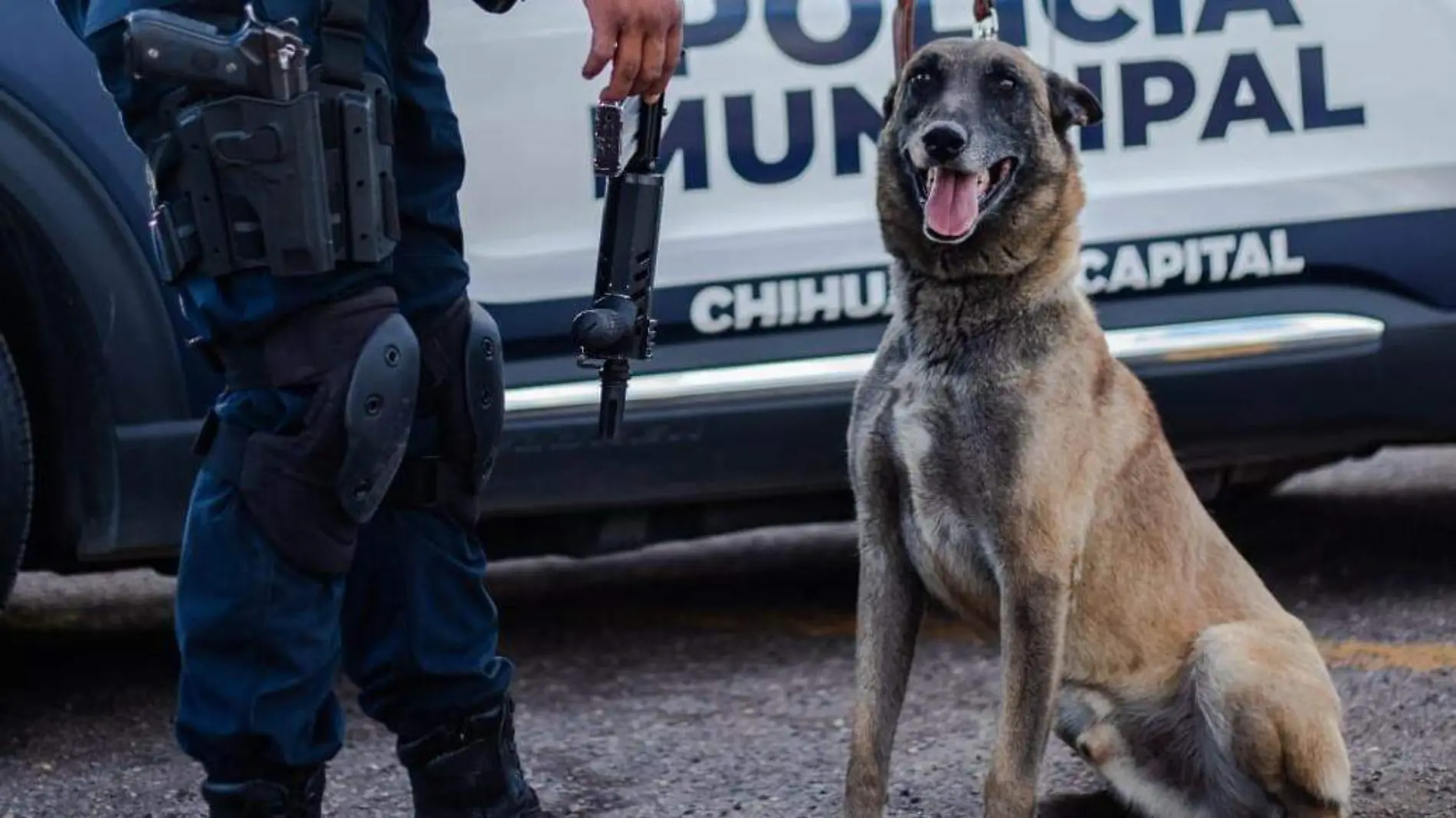 OFICIAL CANINO ULTIMO ADIOS-cts-MPIO (2)